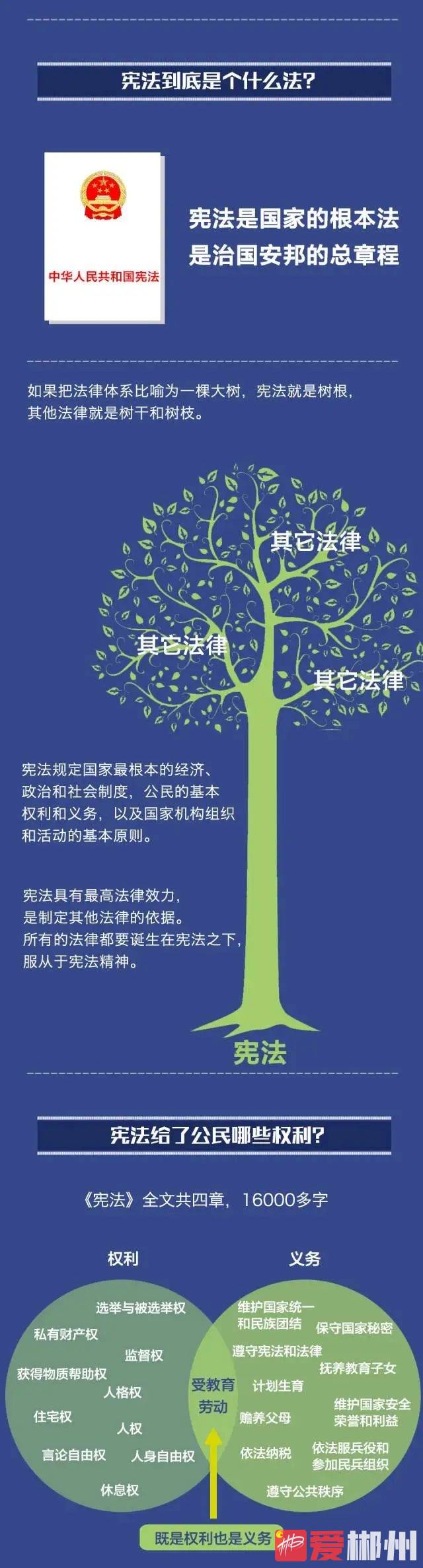 1701679034123717 图片